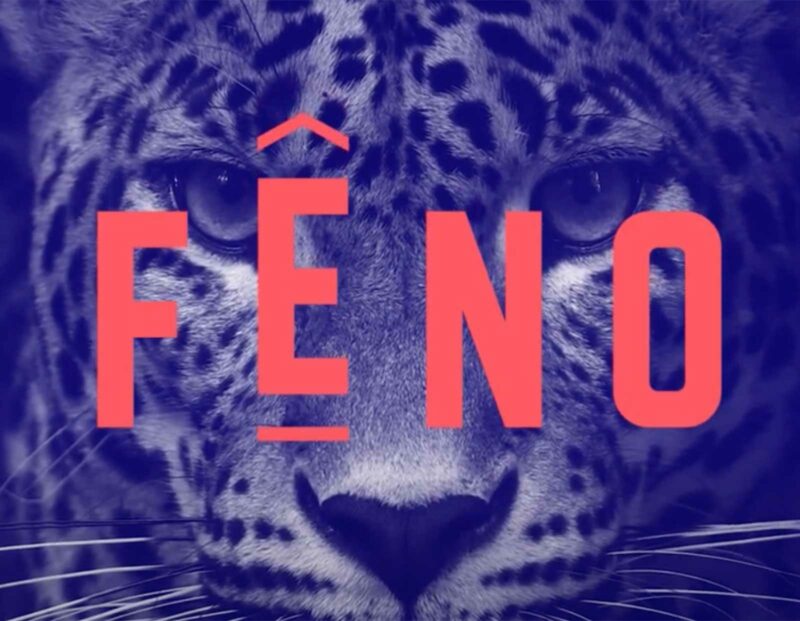Visuel du FÊNO, Festival de l'Excellence Normande